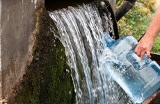 Oireachtas agenda: HSE changes, Garda cuts and fluoride in water