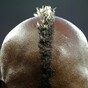 No more fireworks: Mario Balotelli joins AC Milan from Man City