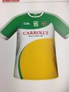 What do you think of the proposed new Offaly jersey?