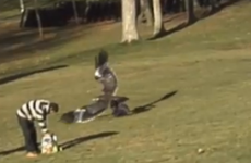 Here's how much that fake golden eagle video earned on YouTube...
