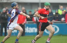 Here's your 2013 Fitzgibbon Cup Guide: Part 2