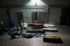 Brazilian fire victim had studied in Ireland