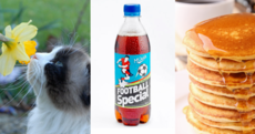January's almost over, here's 7 ways to celebrate
