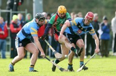 Fitzgibbon Cup round-up