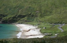 Twelve dolphins found dead on Achill Island