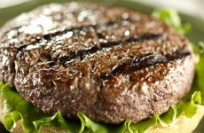 Oireachtas committee may question ABP Food Group on horse meat