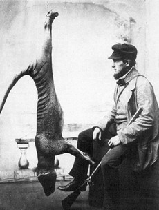10 animals that were hunted to extinction