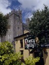 Tourism Ireland aims to get more Russians to visit here