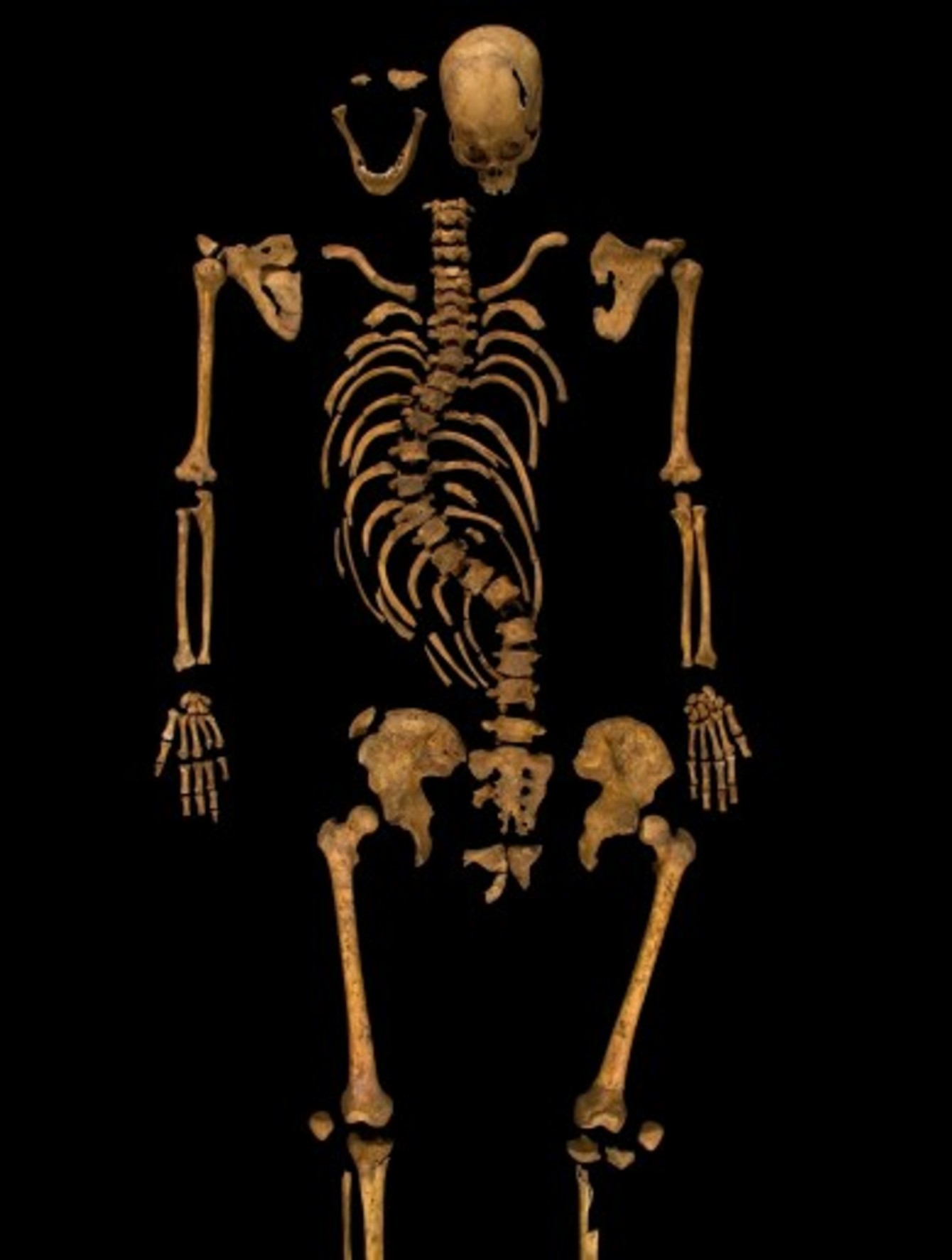 Skeleton Found Under Car Park Is King Richard Iii Say Archaeologists