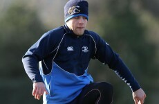 Leinster will consider importing Sexton replacement