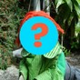 Did you know Bosco had a brother? Here's what he looked like