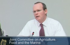 'Somebody is selling rogue product, and somebody knows about it' - Coveney