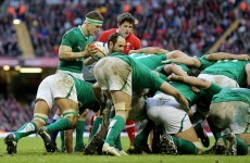 'I have to take Brian for a box-kicking lesson' - Murray on his scrum-half saviour