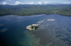 Five dead as 8.0 quake off Solomons sparks Pacific tsunami