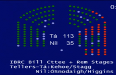 Here’s how every TD voted on the Bill to liquidate IBRC
