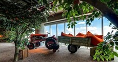 Indoor trees and a slide: the perfect office?