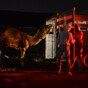 Camel that escaped twice 'wanted to be around other animals'