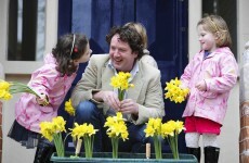 Daffodil Day campaign aims to raise €3.4m