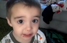 VIDEO: This toddler is the best liar of all time