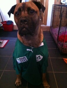 Here’s Your ‘Unleash The Dogs of War’ Pic of The Day