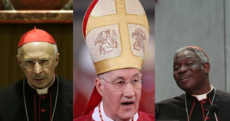 Meet the men who could succeed Pope Benedict XVI