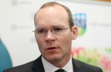 Oireachtas agenda: Promissory notes, eco-cars and horse meat
