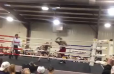 VIDEO: The hardest knock out punch you've ever seen