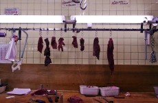 Horsemeat scandal spreads to Asia for first time
