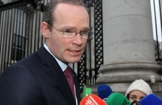 Oireachtas agenda: Motor tax, health insurance and beef DNA tests