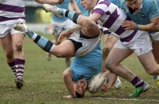 In pictures: Clongowes Wood College vs St. Michael's College