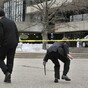 Authorities: Report of gunman at MIT was a hoax