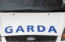 Two men arrested in Cork after handguns found in vehicle
