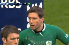 VIDEO: Here is Ronan O'Gara's appalling brain freeze against Scotland