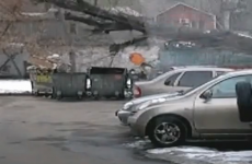 VIDEO: Before taking out the bins... LOOK BEHIND YOU