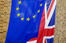 Oireachtas agenda: Dáil boundaries, foot and mouth, and a British EU exit