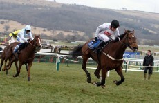 Spirit River to sit Cheltenham out