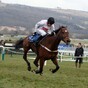 Spirit River to sit Cheltenham out