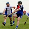 Fitzgibbon Cup: Mary Immaculate stick it out to reach first final