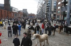 First 'new-look' regulated Smithfield Horse Fair on Sunday