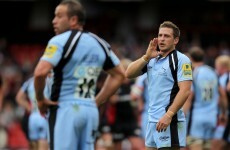 New Blue: Here’s what you can expect from Jimmy Gopperth, Leinster fans