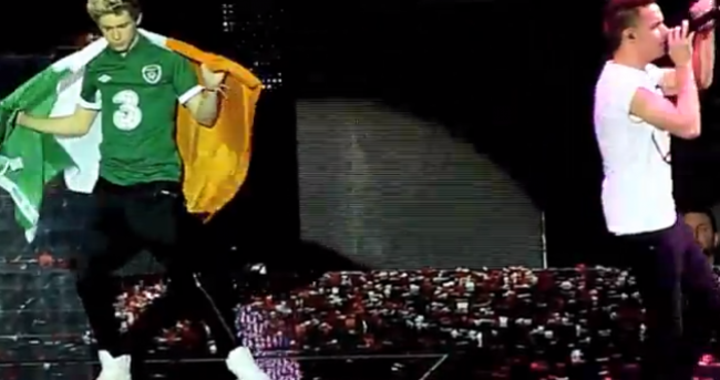 The Dredge: Irish fans lie on the ground for One Direction... literally