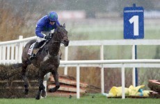 5 Irish horses that can pay the bills, bust the bailout at Cheltenham