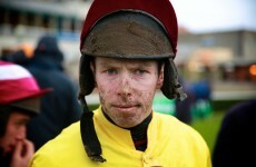 VIDEO: Here's a preview of 'The Irish Road to Cheltenham'