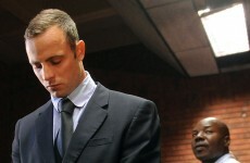 Bungling detective in Pistorius case quits the force