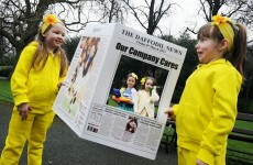 Daffodil Day looking to get 200 companies on board campaign
