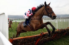Confused by Cheltenham? Here’s what you will need to get through the week