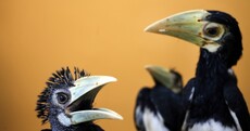 The Week in Photos: Wild thing
