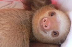 We bet you can't make it through this post without smiling
