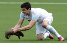 VIDEO: Streaking raccoon runs amok at Swiss football match