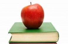 Poll: Should preparation for sacraments remain the job of teachers?
